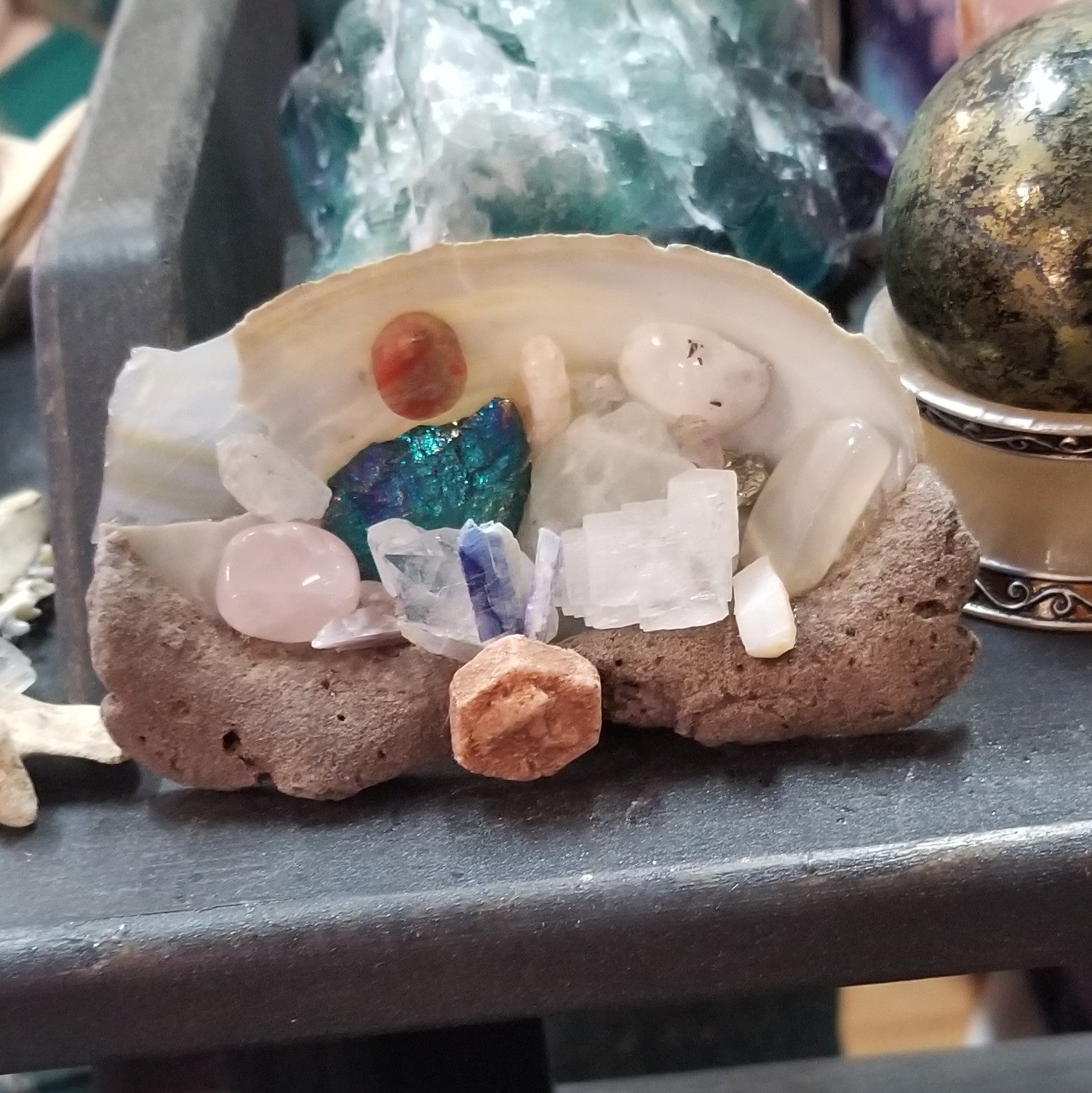 Aphrodite Shell