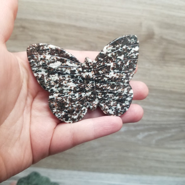 Stone Butterfly