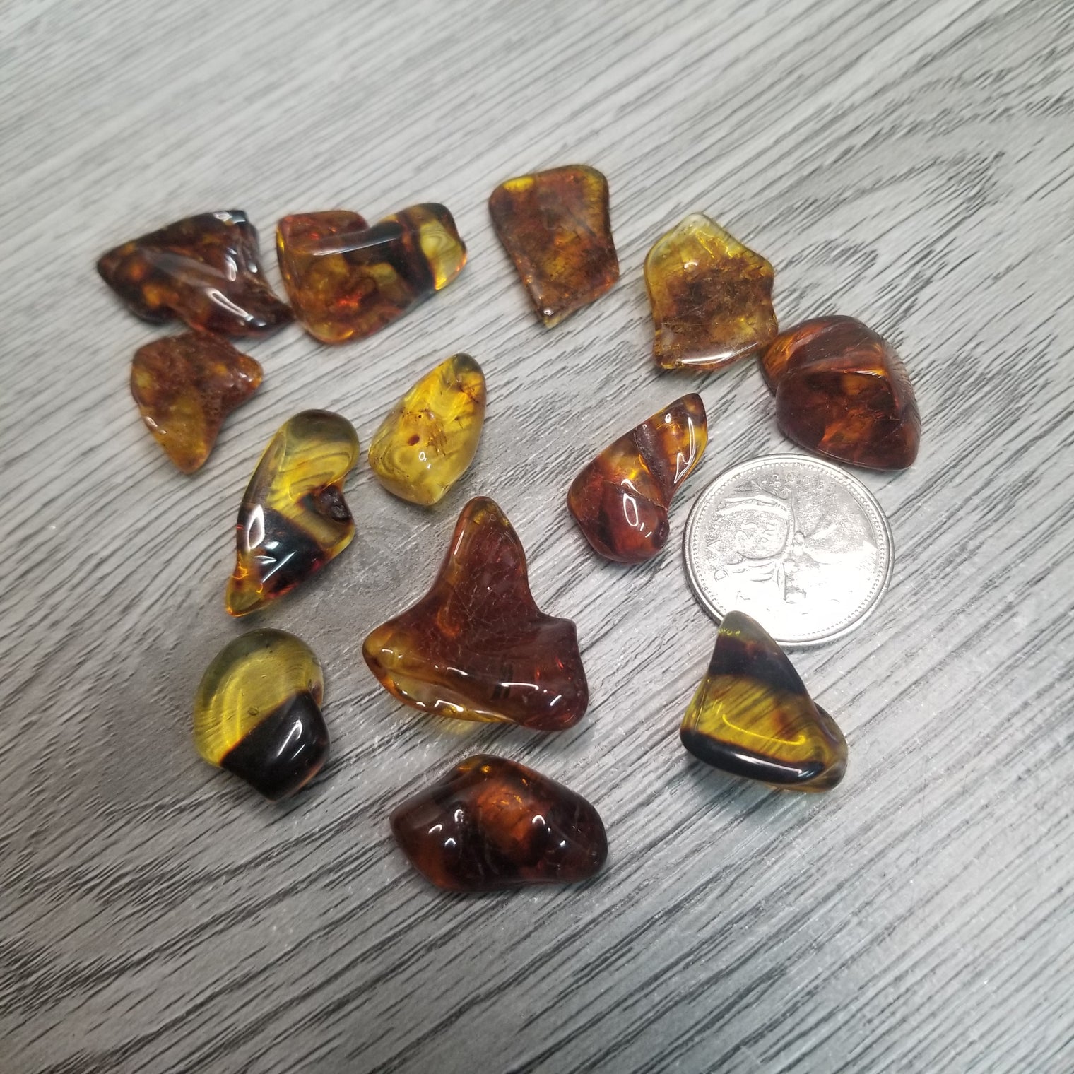 Baltic Amber tumbles