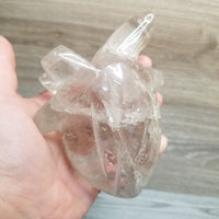 Anatomical Heart Carvings