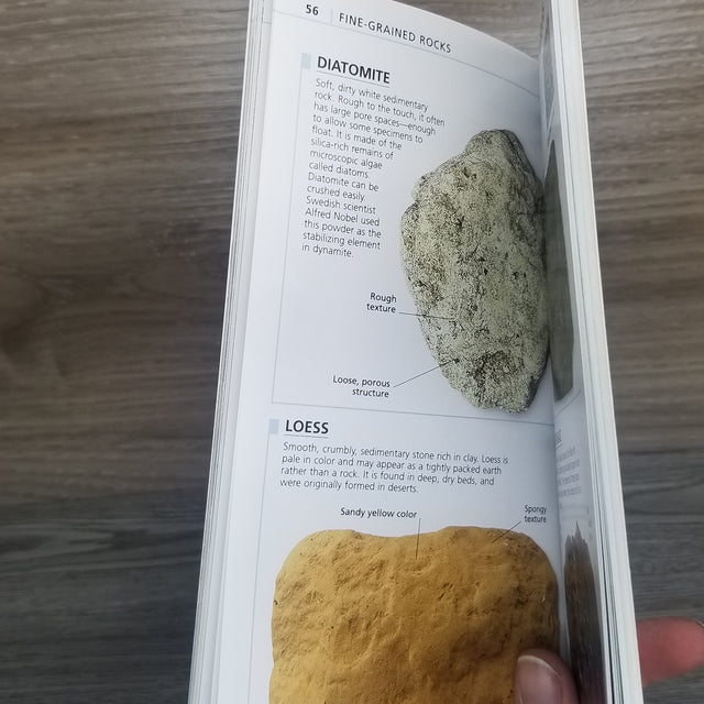 What's that Rock or Mineral?