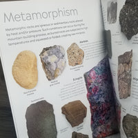 Eyewitness: Rocks & Minerals