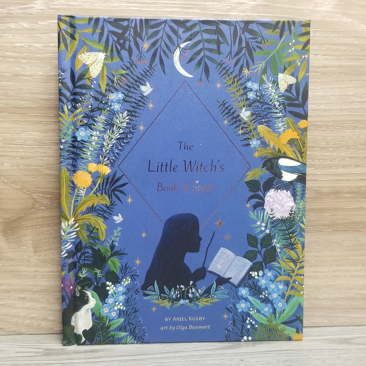 The Little Witch's Book of Spells