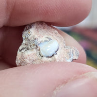 Mexican Fire Gem Opals