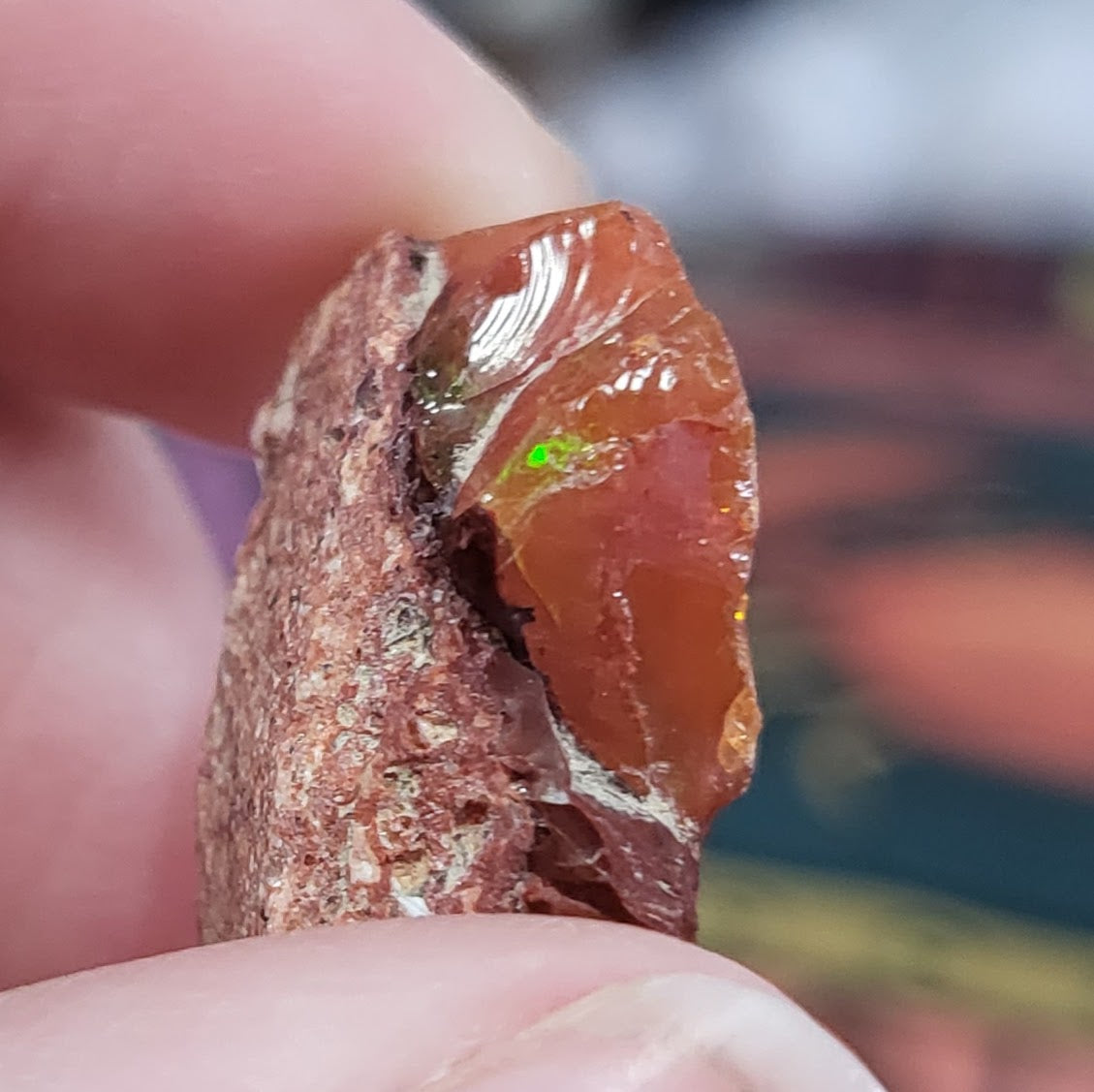 Mexican Fire Gem Opals