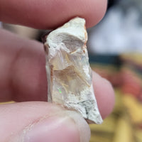 Mexican Fire Gem Opals